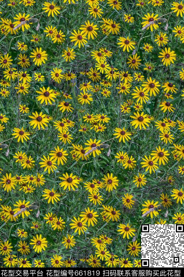 雏菊蒲公英小碎花数码印花华亿平台下载（图片编号: 661819） - 瓦栏（Walan）