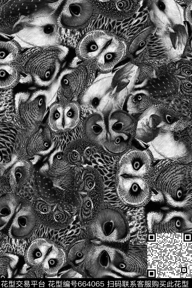 猫头鹰鸟儿动物纹数码印花华亿平台下载（图片编号: 664065） - 瓦栏（Walan）