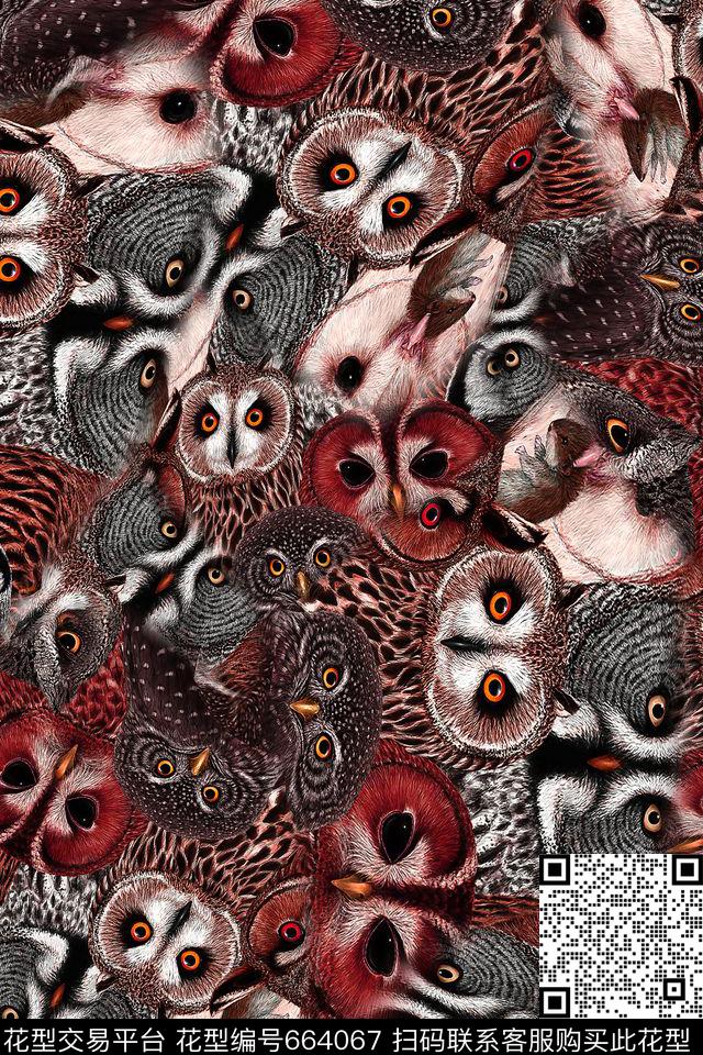 猫头鹰鸟儿动物纹数码印花华亿平台下载（图片编号: 664067） - 瓦栏（Walan）