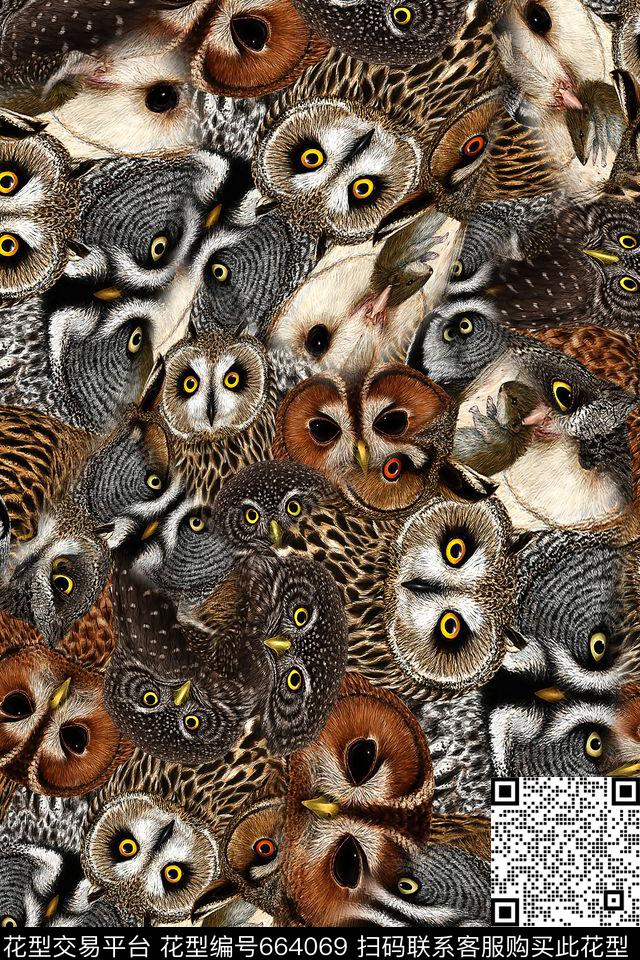 猫头鹰鸟儿动物纹数码印花华亿平台下载（图片编号: 664069） - 瓦栏（Walan）