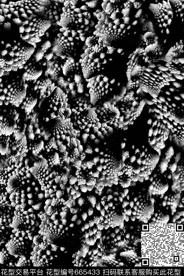 贝壳海螺细胞数码印花华亿平台下载（图片编号: 665433） - 瓦栏（Walan）