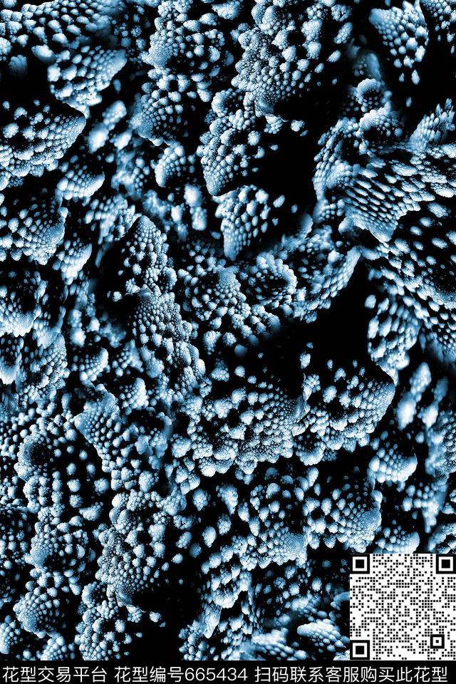 贝壳海螺细胞数码印花华亿平台下载（图片编号: 665434） - 瓦栏（Walan）