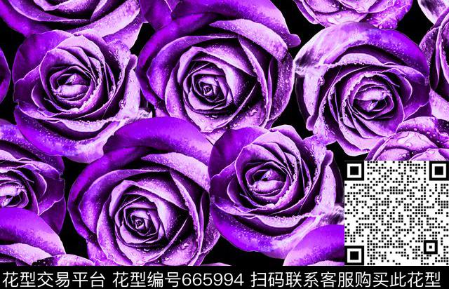花朵大花玫瑰数码印花华亿平台下载（图片编号: 665994） - 瓦栏（Walan）