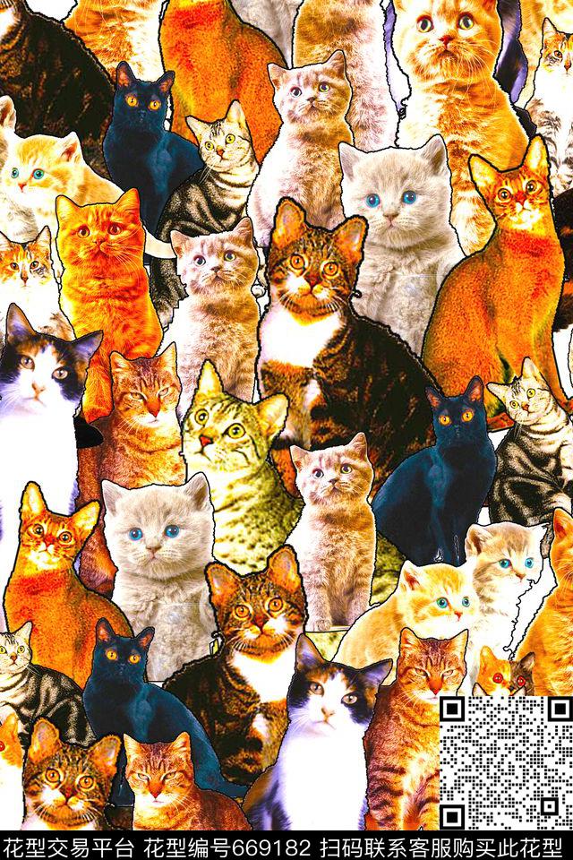 女装猫满版数码印花华亿平台下载（图片编号: 669182） - 瓦栏（Walan）