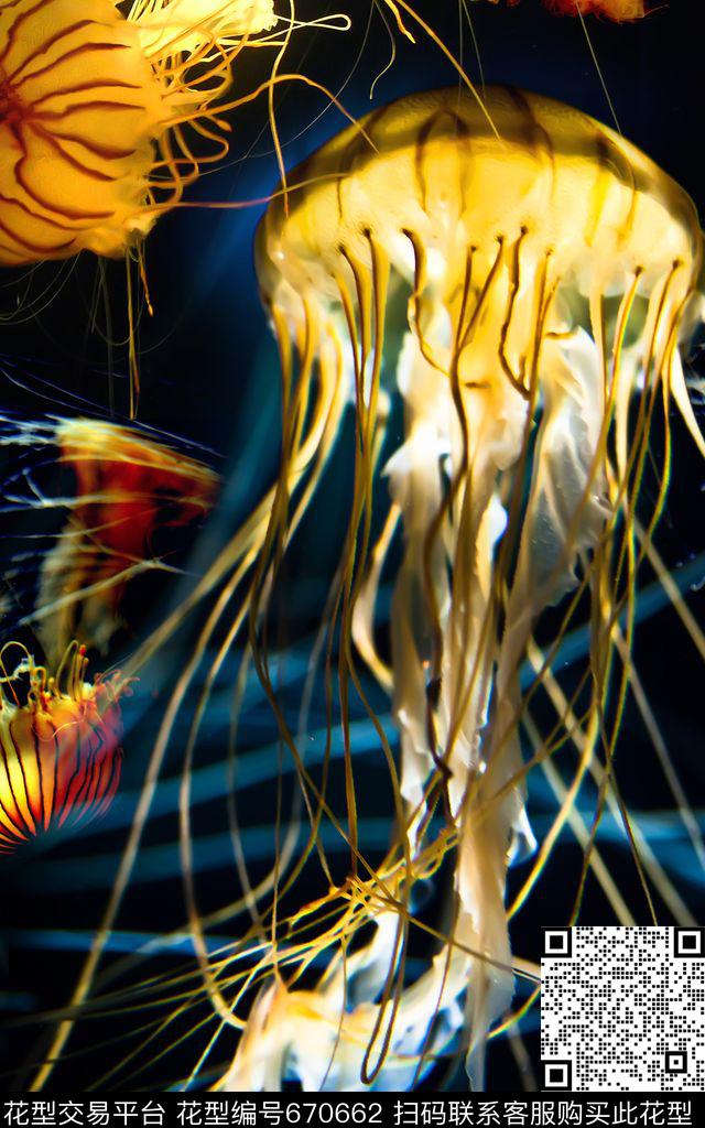 时尚数码华亿平台水母热带数码印花华亿平台下载（图片编号: 670662） - 瓦栏（Walan）