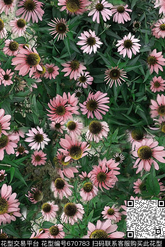 雏菊花卉原创数码印花华亿平台下载（图片编号: 670783） - 瓦栏（Walan）