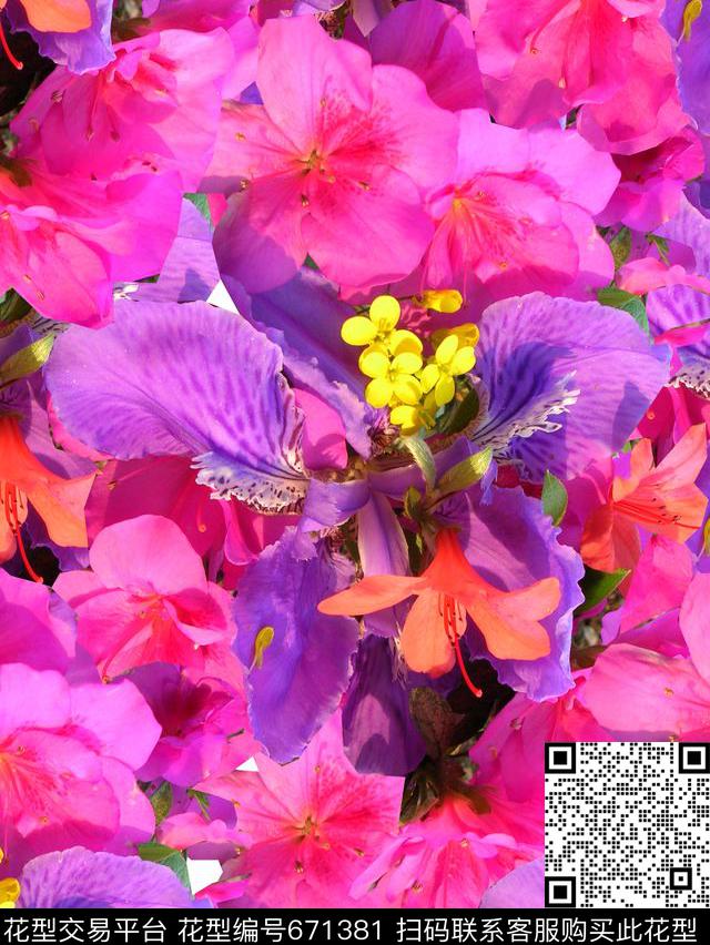 秘密3.0【植物花卉】花卉植物数码印花华亿平台下载（图片编号: 671381） - 瓦栏（Walan）