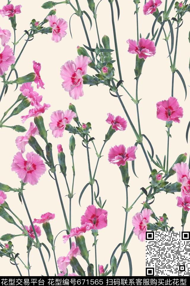 康乃馨花朵花卉数码印花华亿平台下载（图片编号: 671565） - 瓦栏（Walan）