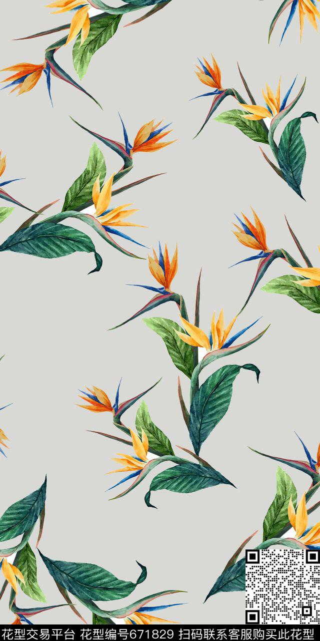 天堂鸟大牌男女装数码印花华亿平台下载（图片编号: 671829） - 瓦栏（Walan）