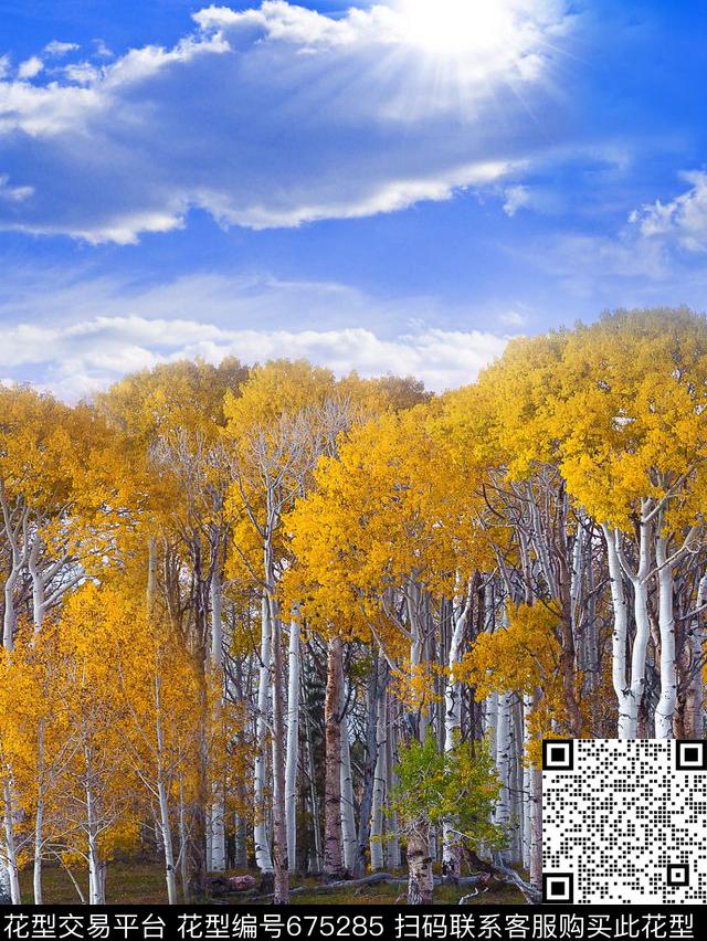 定位风景女装数码印花华亿平台下载（图片编号: 675285） - 瓦栏（Walan）