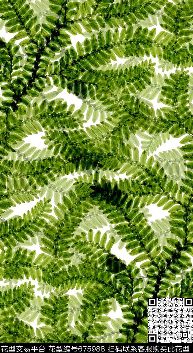 女装裤树枝叶子简欧数码印花华亿平台下载（图片编号: 675988） - 瓦栏（Walan）