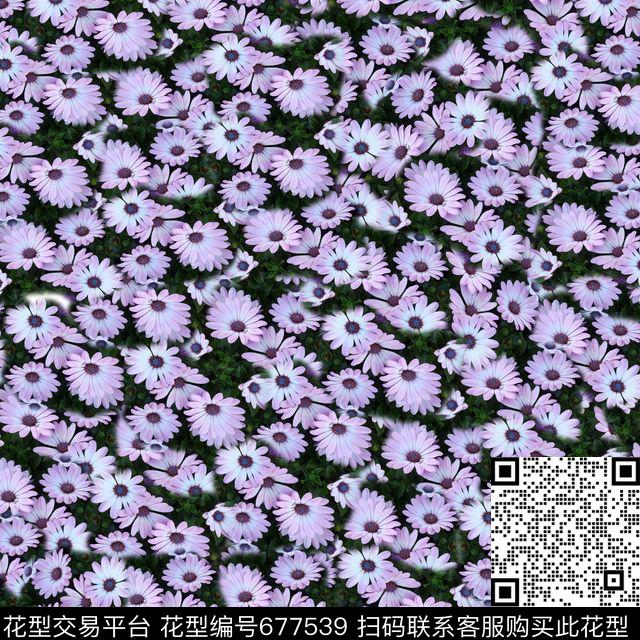 雏菊乱花菊花数码印花华亿平台下载（图片编号: 677539） - 瓦栏（Walan）