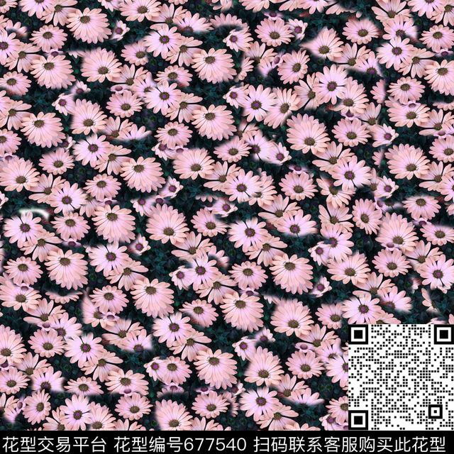 雏菊乱花菊花数码印花华亿平台下载（图片编号: 677540） - 瓦栏（Walan）