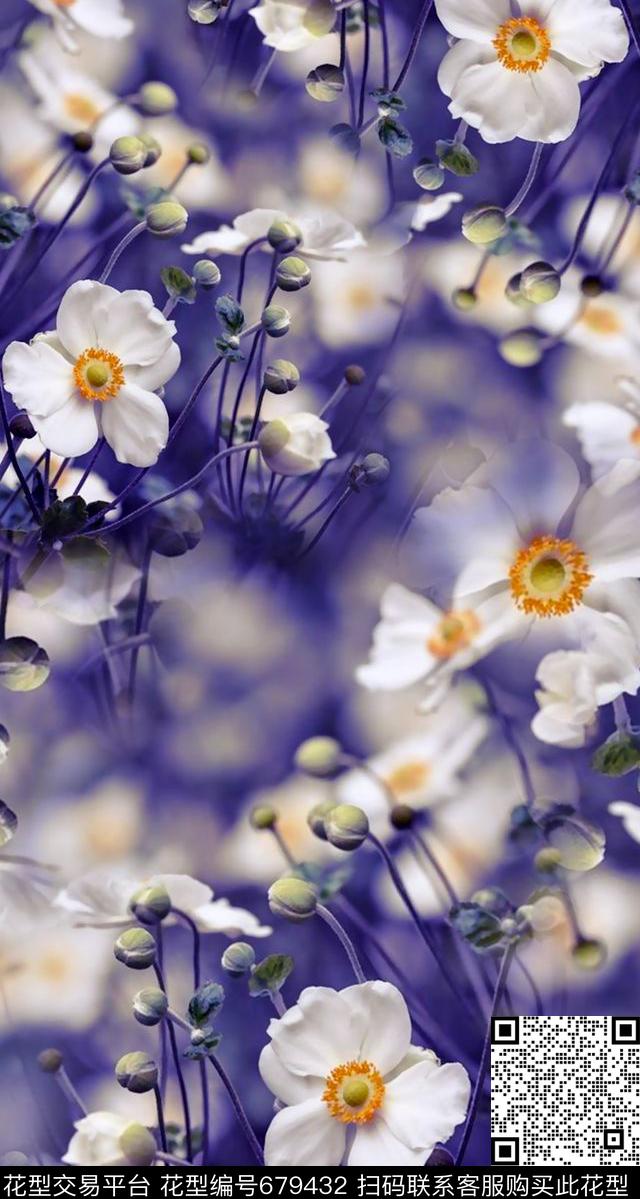 照片花卉小雏菊数码印花华亿平台下载（图片编号: 679432） - 瓦栏（Walan）