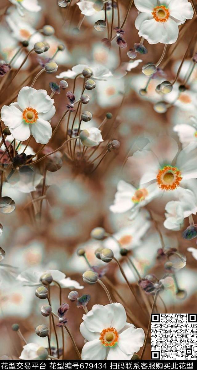 照片花卉小雏菊数码印花华亿平台下载（图片编号: 679434） - 瓦栏（Walan）