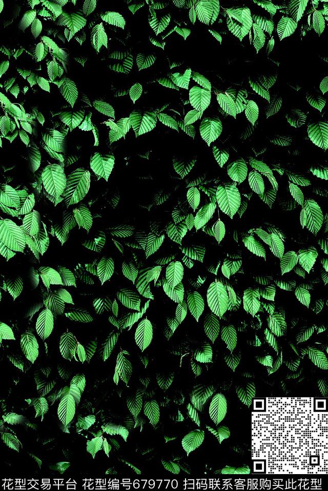 现代热带树叶数码印花华亿平台下载（图片编号: 679770） - 瓦栏（Walan）