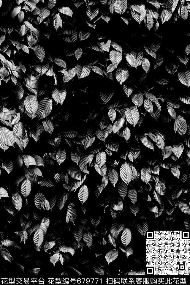 现代热带树叶数码印花华亿平台下载（图片编号: 679771） - 瓦栏（Walan）
