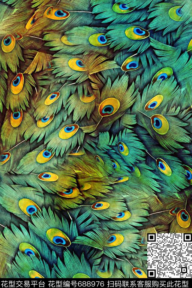 孔雀羽毛经典流行数码印花华亿平台下载（图片编号: 688976） - 瓦栏（Walan）