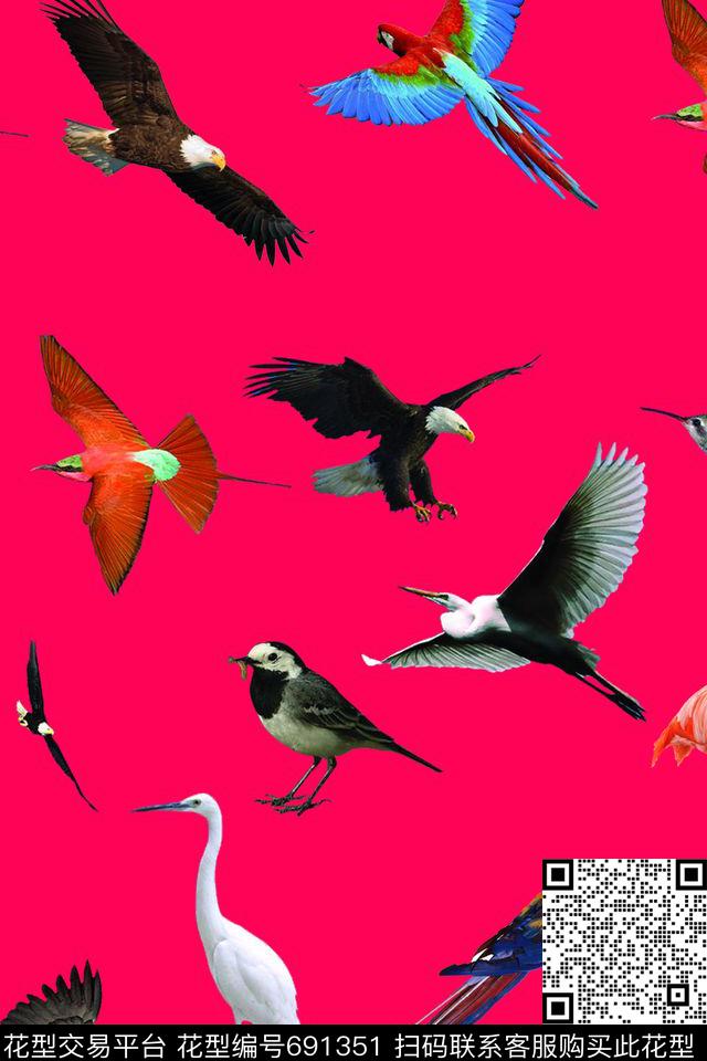 鹦鹉巴西亚马逊热带雨林、世界杯数码印花华亿平台下载（图片编号: 691351） - 瓦栏（Walan）