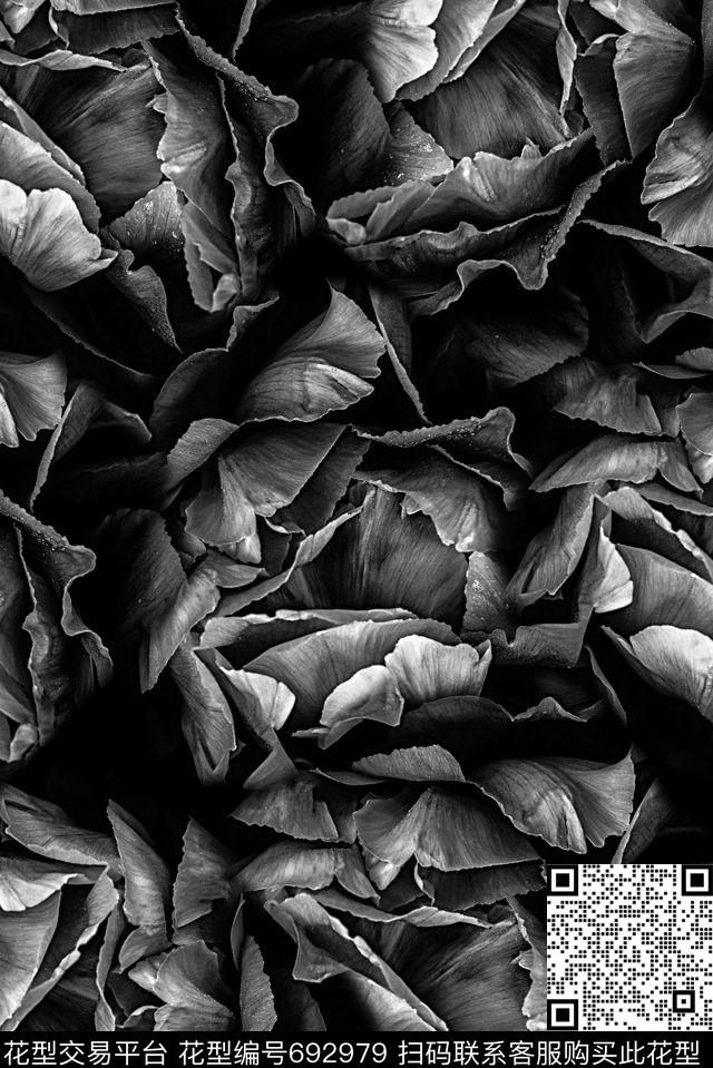 时尚潮流男装满版T恤印花花卉玫瑰花夹克外套印花数码印花华亿平台下载（图片编号: 692979） - 瓦栏（Walan）