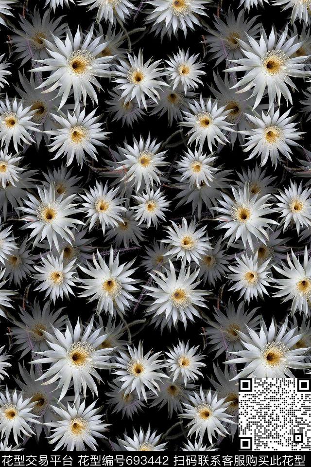 青蓝雅韵系列花卉组合植物花卉数码印花华亿平台下载（图片编号: 693442） - 瓦栏（Walan）