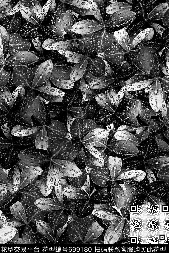 黑白花叶子光影传统印花华亿平台下载（图片编号: 699180） - 瓦栏（Walan）