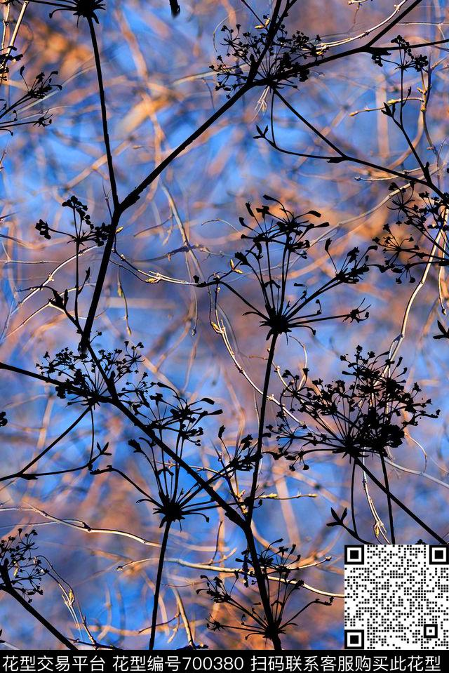 植物树枝写意数码印花华亿平台下载（图片编号: 700380） - 瓦栏（Walan）