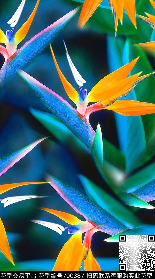 天堂鸟热带植物宝蓝数码印花华亿平台下载（图片编号: 700387） - 瓦栏（Walan）