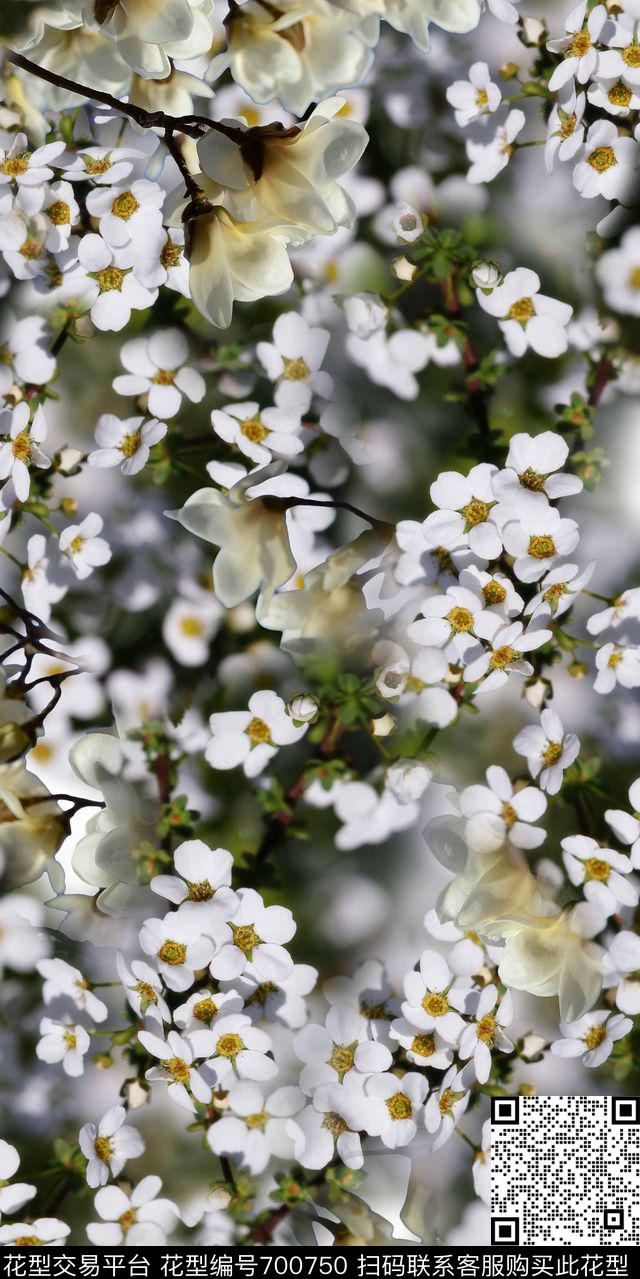 花朵乱花小碎花数码印花华亿平台下载（图片编号: 700750） - 瓦栏（Walan）