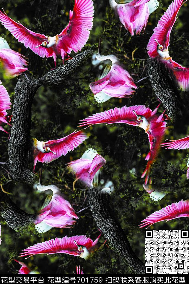 男装女装鸟数码印花华亿平台下载（图片编号: 701759） - 瓦栏（Walan）