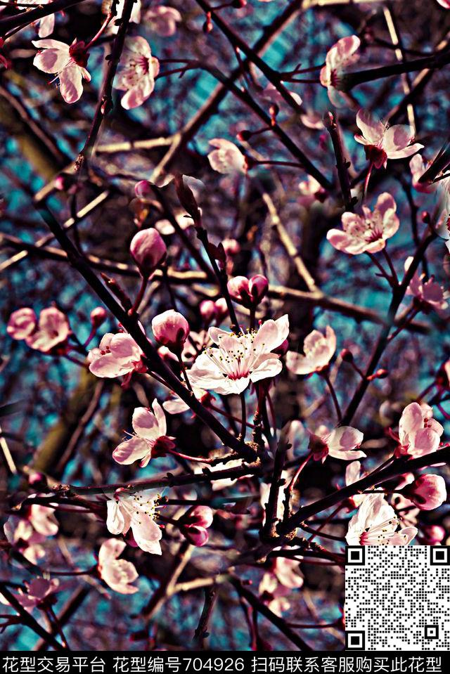 手绘水彩梅花数码印花时尚潮流女装裙子旗袍印花抽象风景复古高档欧美夹克外套印花数码印花华亿平台下载（图片编号: 704926） - 瓦栏（Walan）