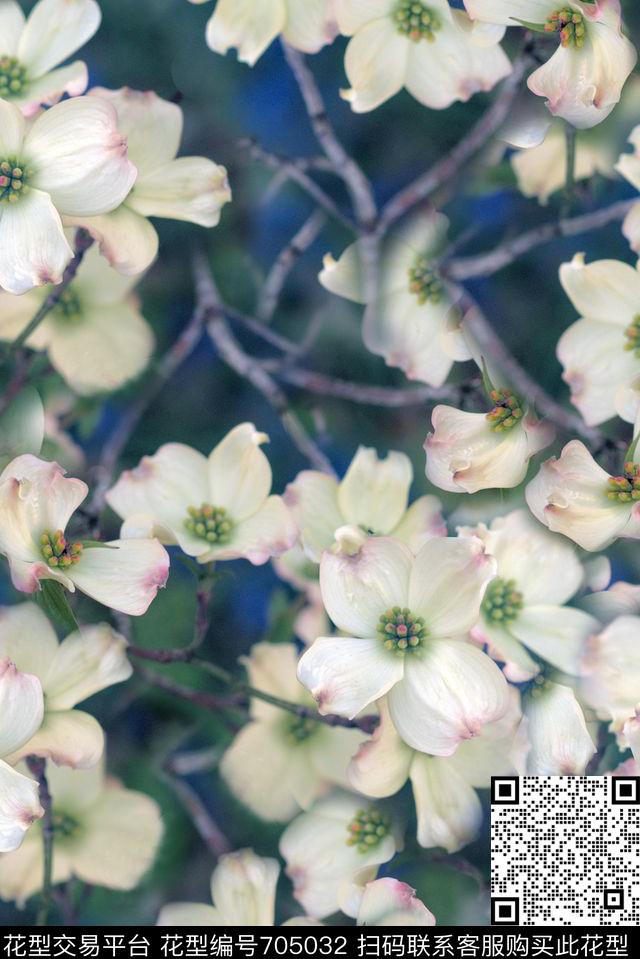 抽象手绘油画花朵植物数码印花时尚潮流女装裙子旗袍印花时尚大牌欧美复古肌理纹女装外套夹克卫衣印花数码印花华亿平台下载（图片编号: 705032） - 瓦栏（Walan）