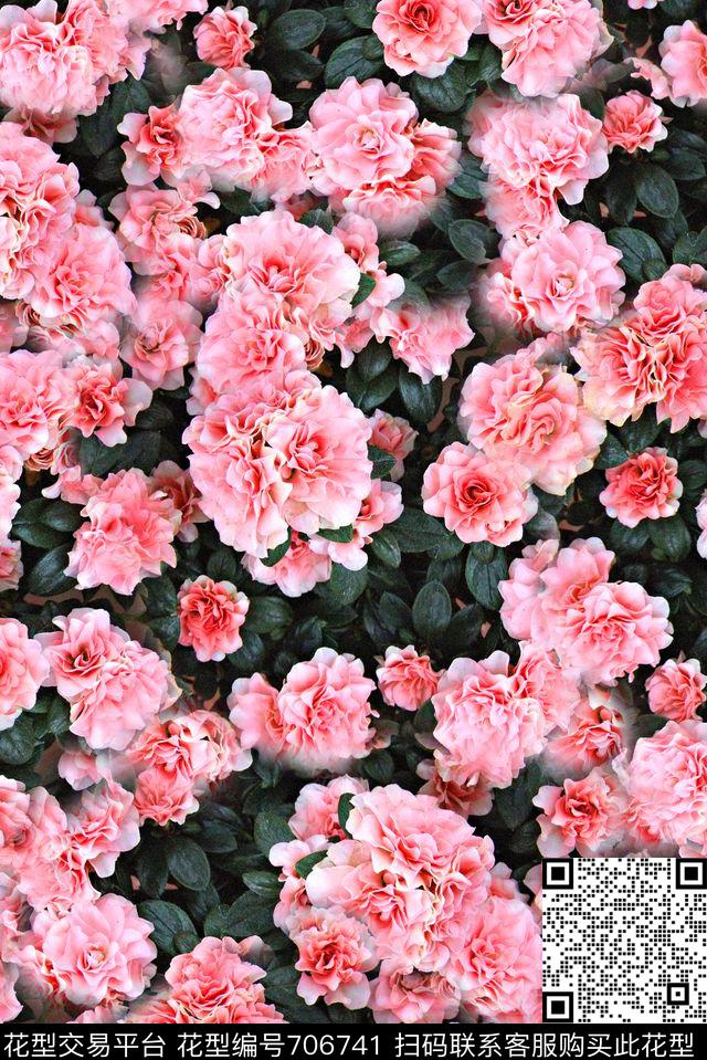 抽象手绘女装裙子花卉印花玫瑰花花朵数码印花华亿平台下载（图片编号: 706741） - 瓦栏（Walan）