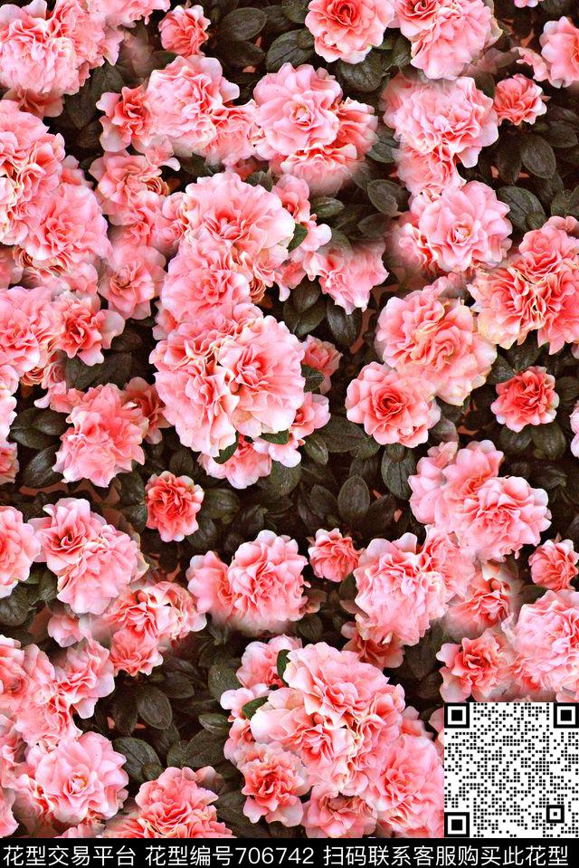 抽象手绘女装裙子花卉印花玫瑰花花朵数码印花华亿平台下载（图片编号: 706742） - 瓦栏（Walan）