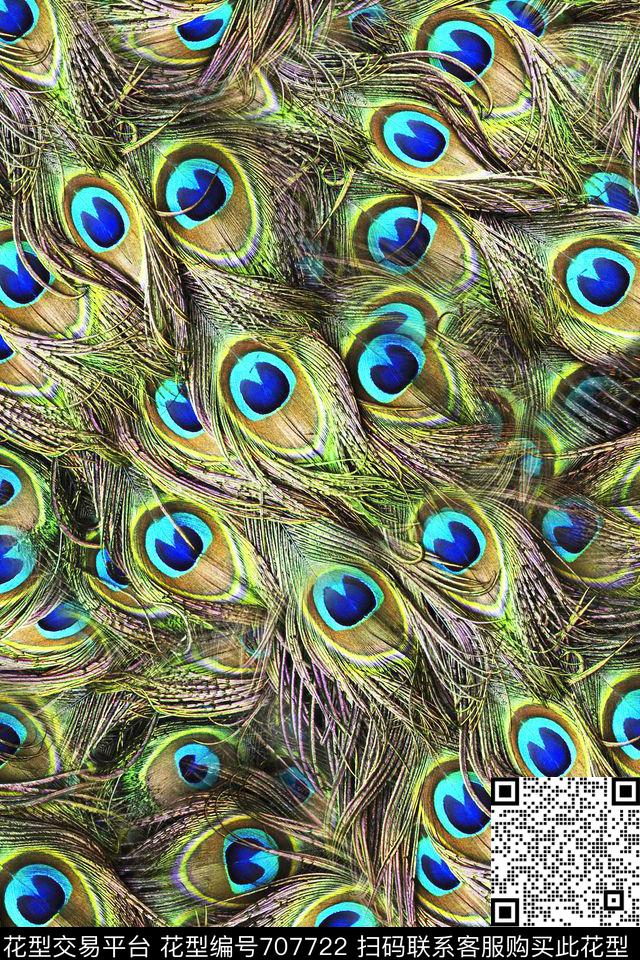 炫彩羽毛孔雀羽毛羽毛数码印花华亿平台下载（图片编号: 707722） - 瓦栏（Walan）