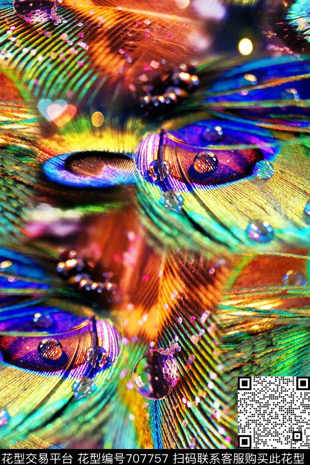 动物纹羽毛水底数码印花华亿平台下载（图片编号: 707757） - 瓦栏（Walan）