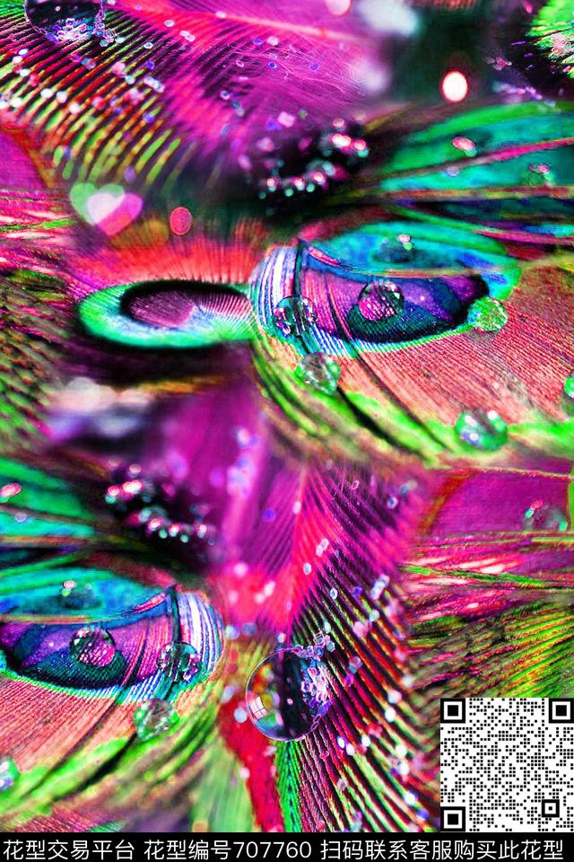 动物纹羽毛水底数码印花华亿平台下载（图片编号: 707760） - 瓦栏（Walan）