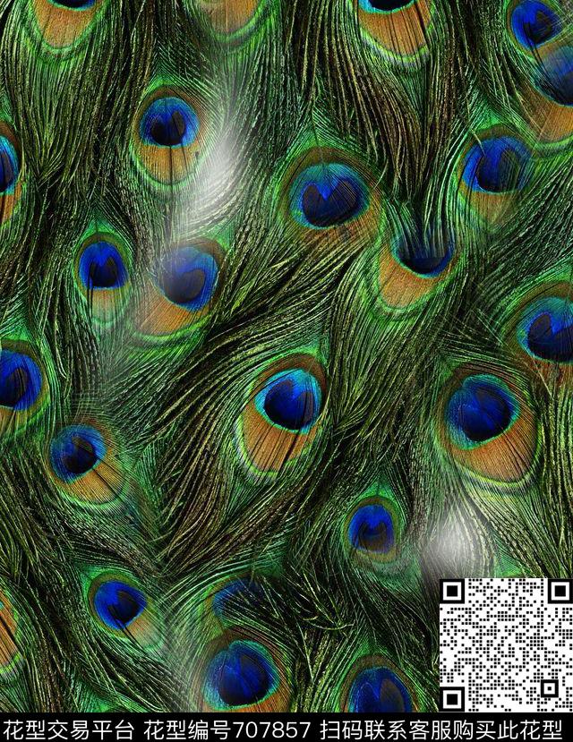 时尚欧美孔雀数码印花华亿平台下载（图片编号: 707857） - 瓦栏（Walan）