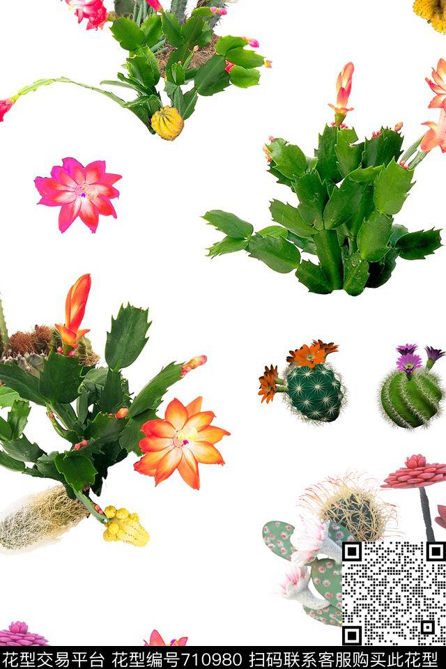 花卉仙人掌仙人球数码印花华亿平台下载（图片编号: 710980） - 瓦栏（Walan）