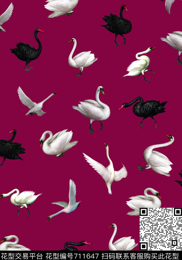 天鹅鸟飞鸟数码印花华亿平台下载（图片编号: 711647） - 瓦栏（Walan）