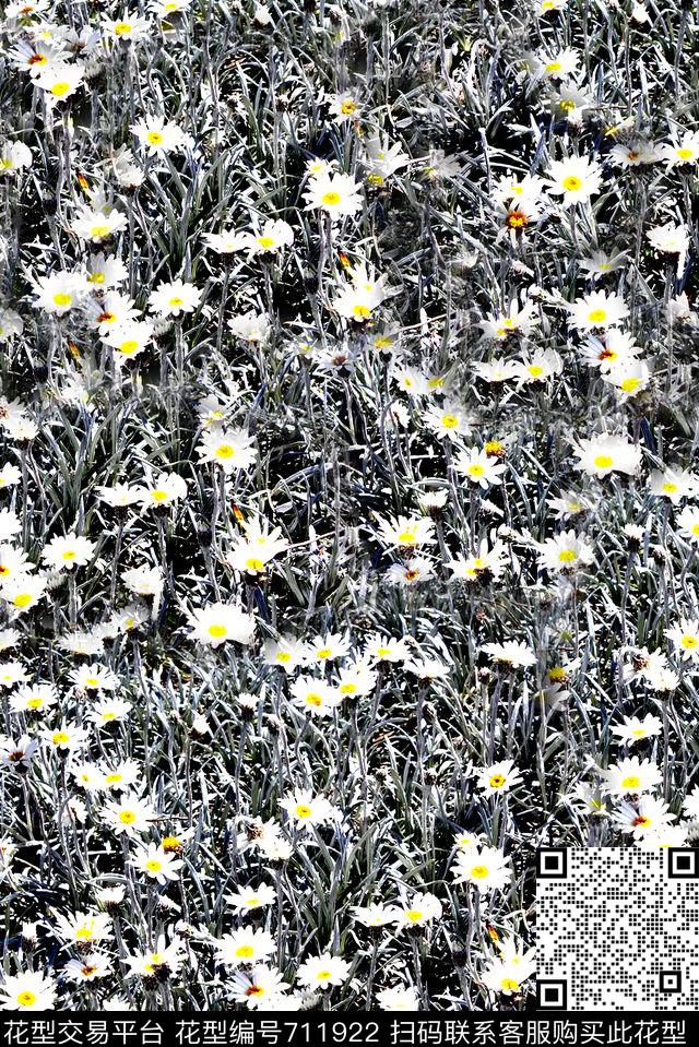 抽象手绘植物小碎花花卉数码印花时尚潮流女装裙子印花欧美大牌男装夹克外套复古印花数码印花华亿平台下载（图片编号: 711922） - 瓦栏（Walan）