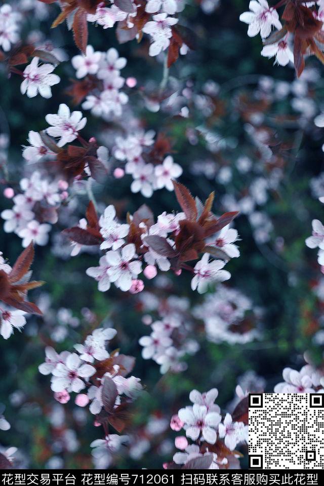 抽象3D植物花卉小碎花数码印花时尚潮流女装裙子外套夹克印花窗帘复古印花数码印花华亿平台下载（图片编号: 712061） - 瓦栏（Walan）