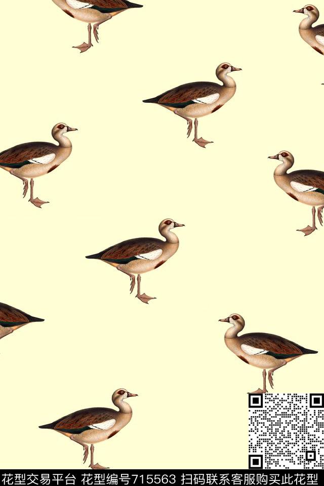 鸟手绘鸟复古鸟数码印花华亿平台下载（图片编号: 715563） - 瓦栏（Walan）