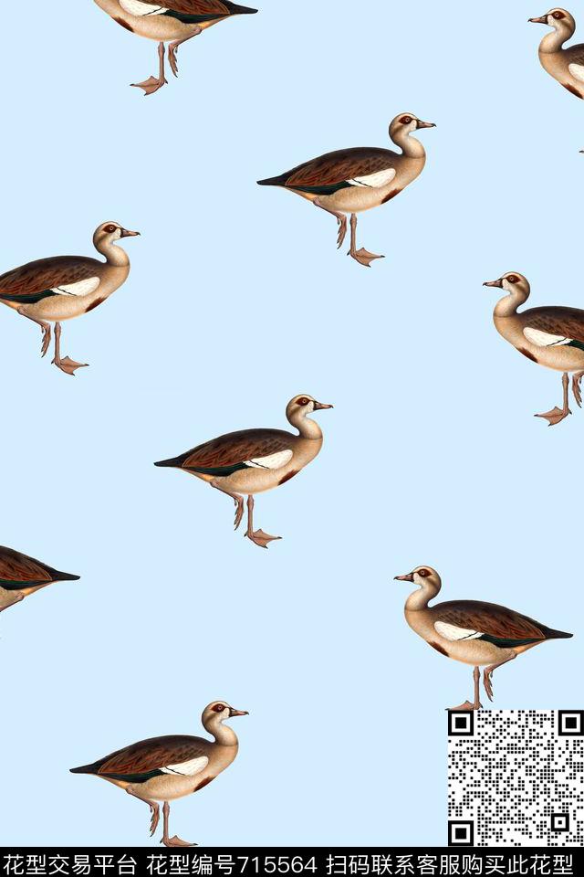鸟手绘鸟复古鸟数码印花华亿平台下载（图片编号: 715564） - 瓦栏（Walan）
