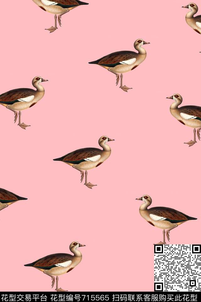 鸟手绘鸟复古鸟数码印花华亿平台下载（图片编号: 715565） - 瓦栏（Walan）