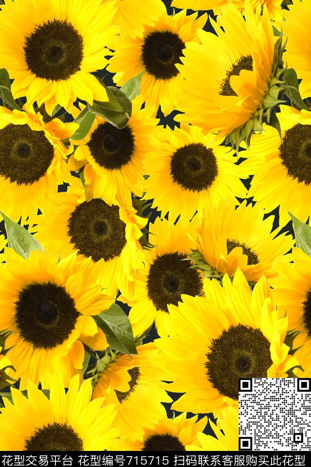 大花牡丹玫瑰数码印花华亿平台下载（图片编号: 715715） - 瓦栏（Walan）