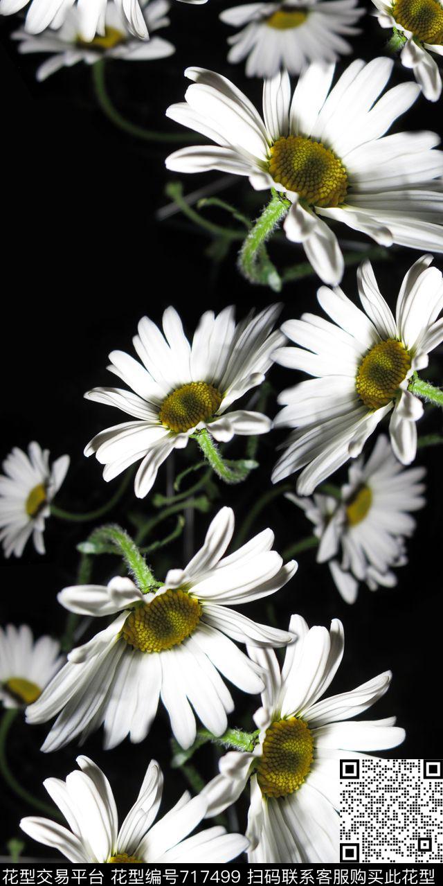 菊花花朵花卉数码印花华亿平台下载（图片编号: 717499） - 瓦栏（Walan）