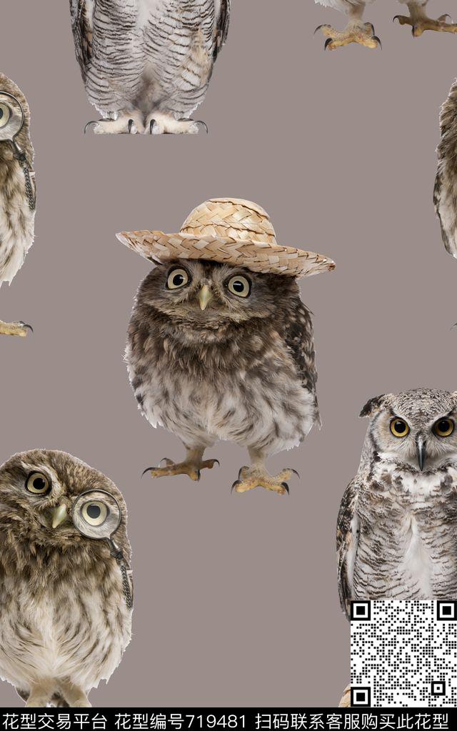 抽象3D动物猫头鹰数码印花时尚了女装印花复古时尚外套印花数码印花华亿平台下载（图片编号: 719481） - 瓦栏（Walan）