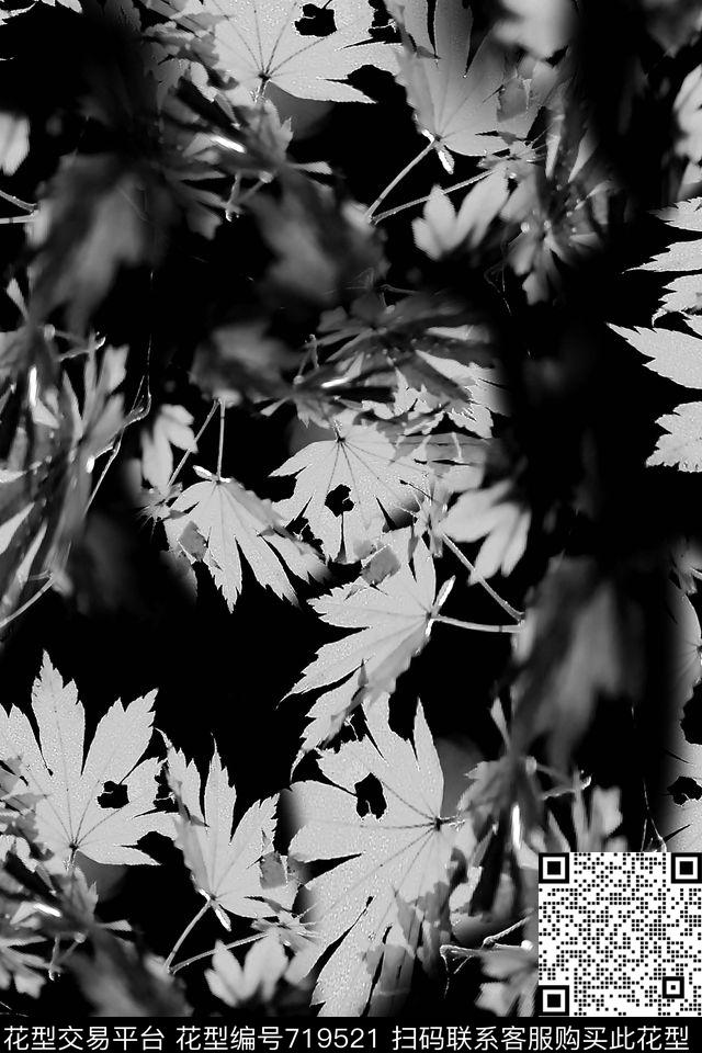 枫叶叶子女装数码印花华亿平台下载（图片编号: 719521） - 瓦栏（Walan）