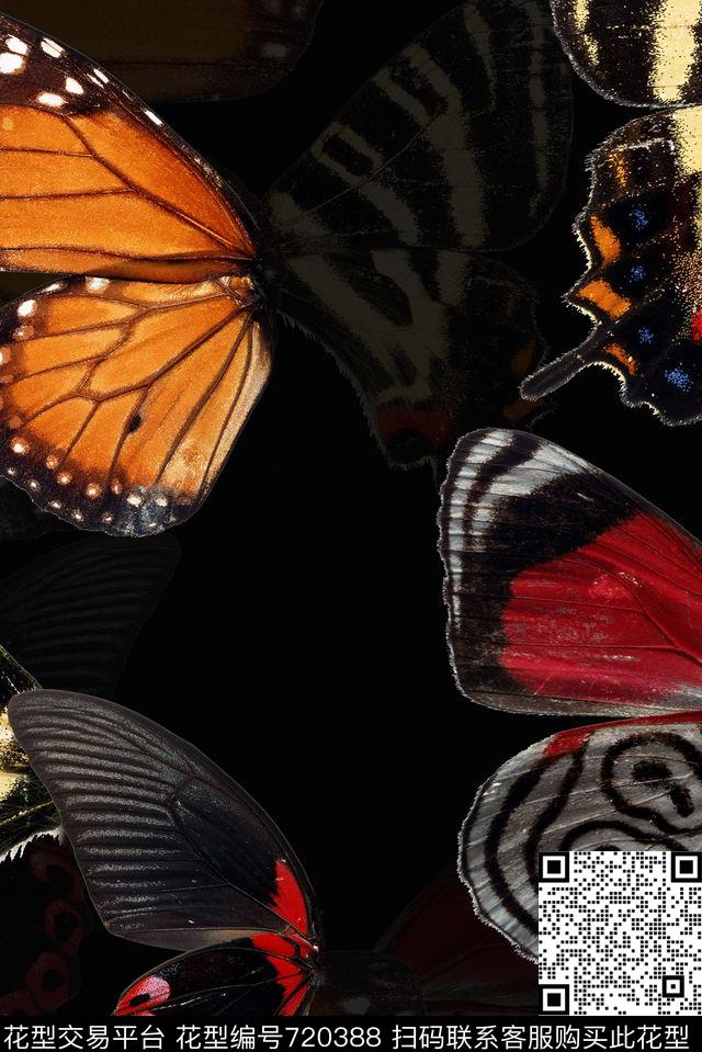 动物纹数码动物类蝴蝶数码印花华亿平台下载（图片编号: 720388） - 瓦栏（Walan）